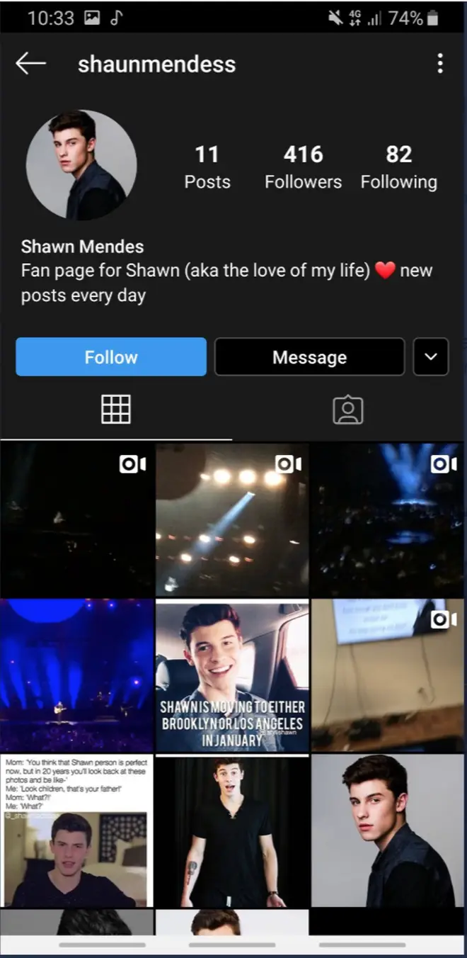 Lewis Hamilton tagged the wrong Shawn Mendes on Instagram