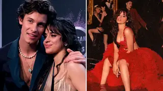 Shawn Mendes had the best response to a fan who called Camila Cabello 'breathtaking'