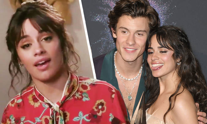 Shawn Mendes was 'too late' when he told Camila Cabello how he felt