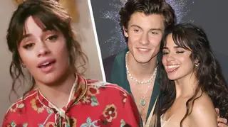 Shawn Mendes was 'too late' when he told Camila Cabello how he felt