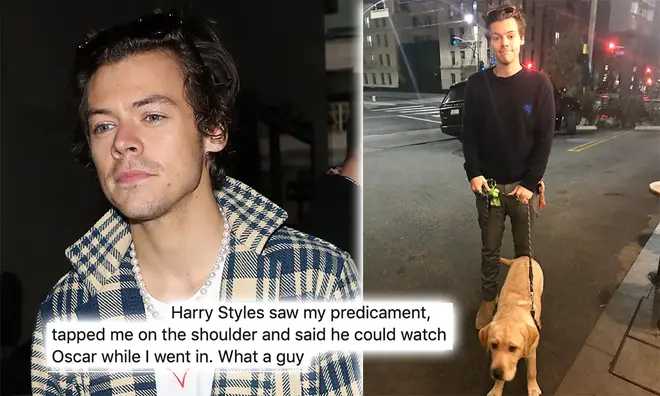 Harry Styles looked after a fan's puppy