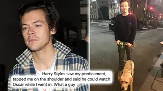 Harry Styles looked after a fan's puppy