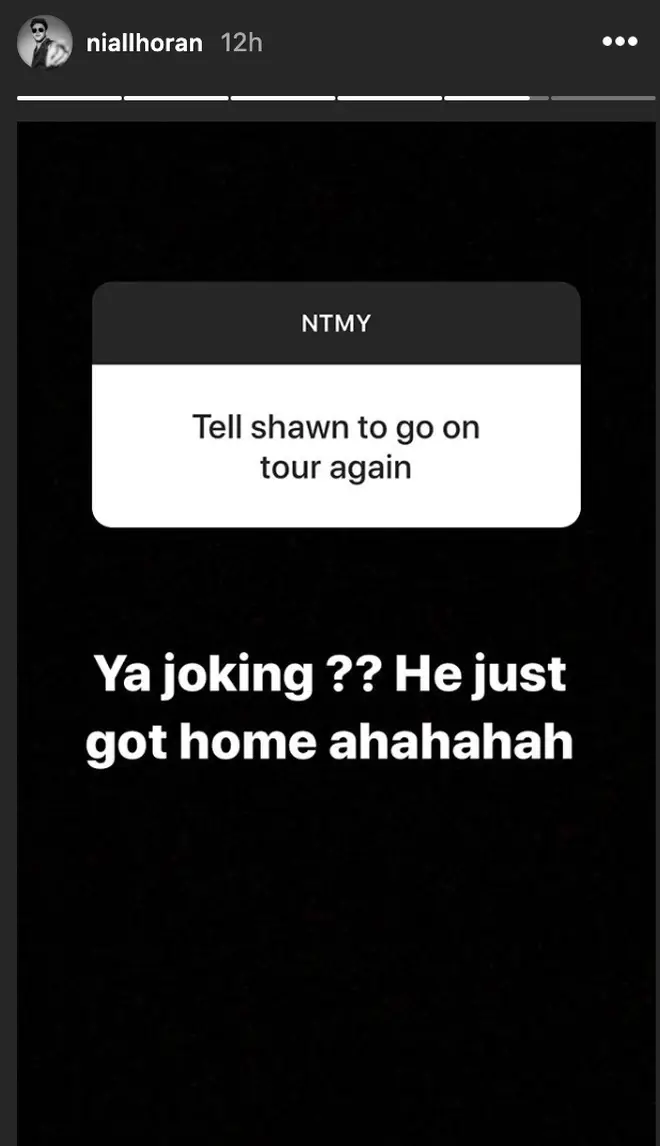 Niall Horan sticks up for pal Shawn Mendes during Instagram Q&A