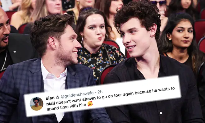 Niall Horan sticks up for his pal Shawn Mendes over 'tour' ask