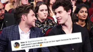 Niall Horan sticks up for his pal Shawn Mendes over 'tour' ask