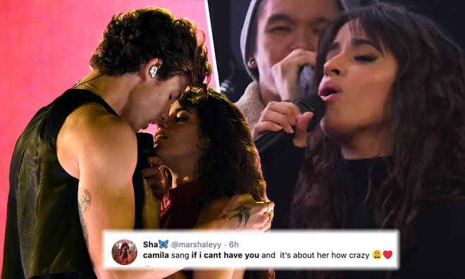 Camila Cabello just sang Shawn Mendes's song about her