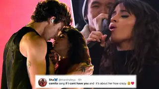 Camila Cabello just sang Shawn Mendes's song about her