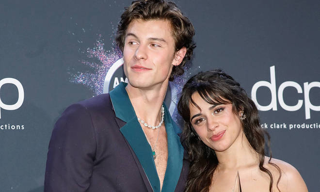 Camila Cabello and Shawn Mendes have been dating since 2019