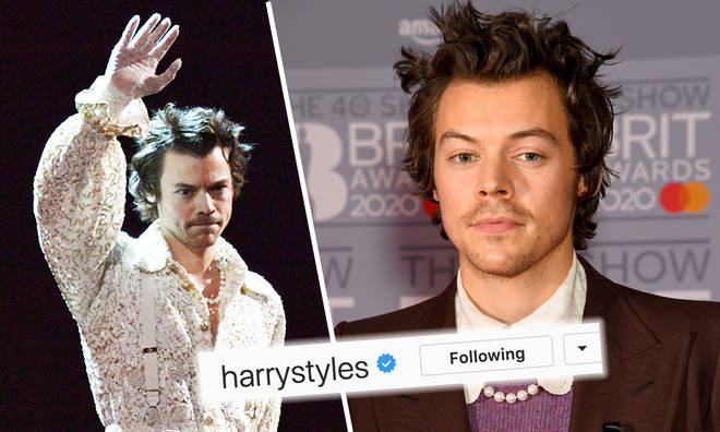 Harry Styles follows pop stars on Instagram