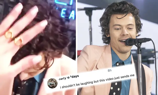 A fan touched Harry Styles's hair and opinion is divided