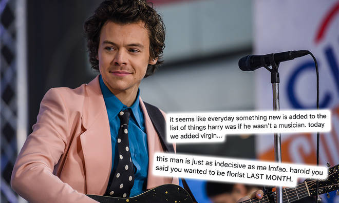 Harry Styles had numerous job aspirations lined up for if he wasn't a pop star
