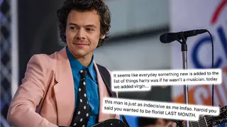 Harry Styles had numerous job aspirations if he didn't end up being a pop star