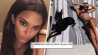 Kendall Jenner's Dog Reportedly Bites Young Girl