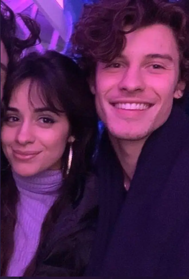 Camila Cabello was surprised by boyfriend Shawn Mendes on her birthday