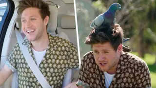 Niall Horan overcame his pigeon phobia with James Corden