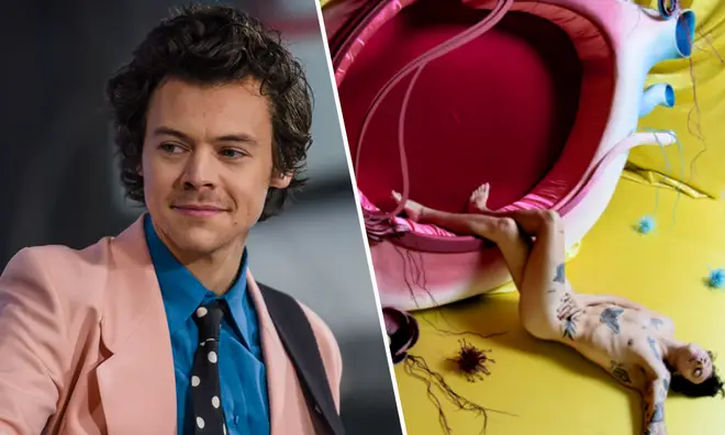 Harry Styles reveals the 'lone nude' that became part of his album artwork