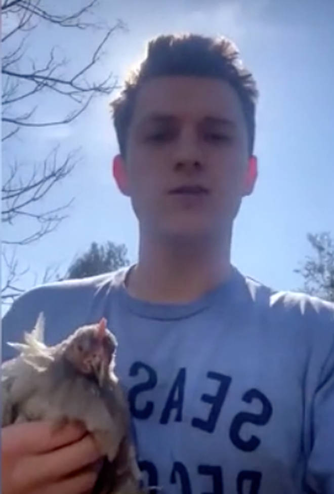 Tom Holland has adopted three chickens