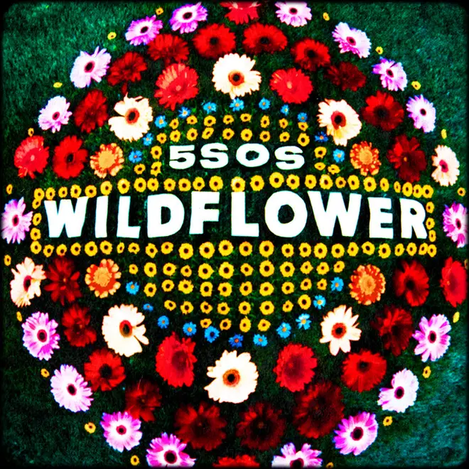 'Wildflower' - 5 Seconds of Summer