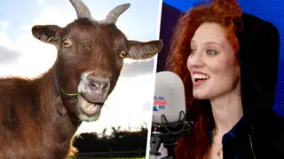 Jess Glynne's Mother Compares Her Voice To A Goat's