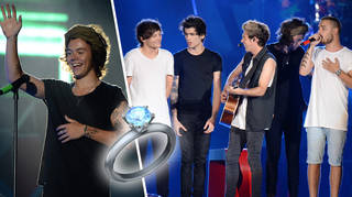 One Direction helped a fan propose at their concert in 2014