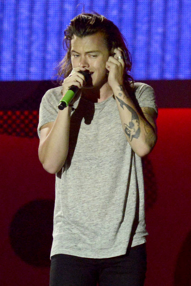 Harry Styles paused a 1D concert to help a fan propose to his girlfriend