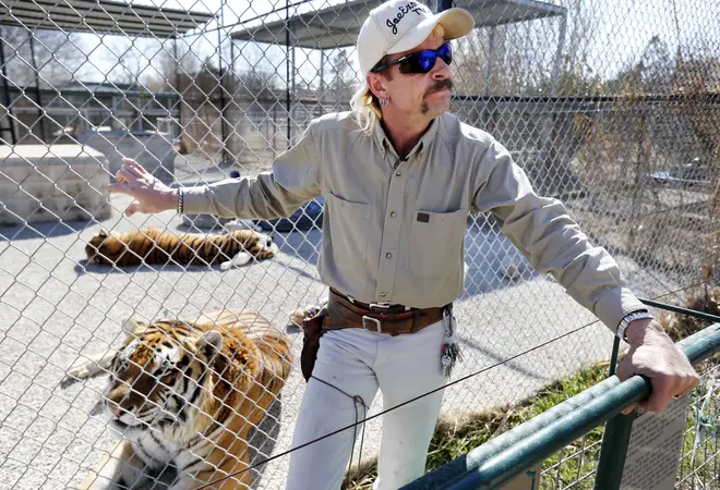 Joe Exotic with his tigers