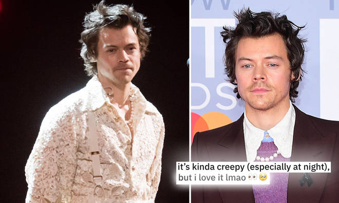A Harry Styles fan made a life-sized cardboard cut out of the singer