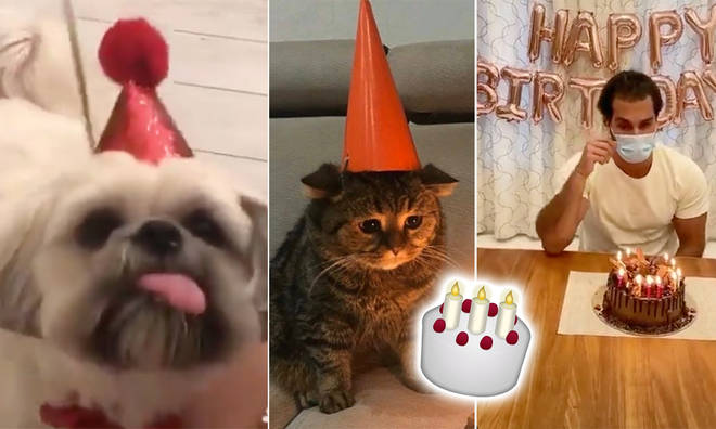7 Hilarious Memes For People Spending Their Birthday In Quarantine - Capital