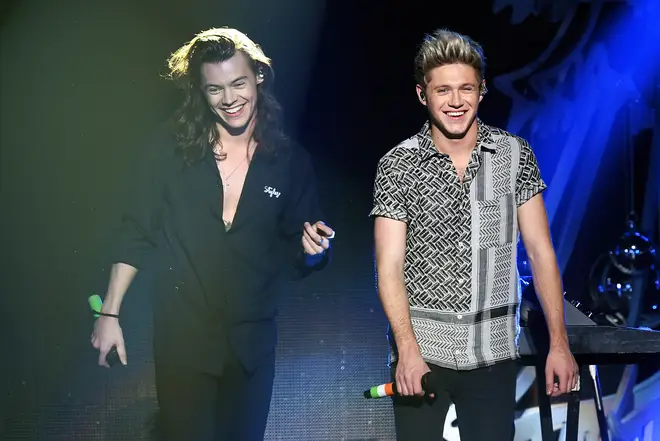 Harry Styles and Niall Horan were in One Direction together for five years