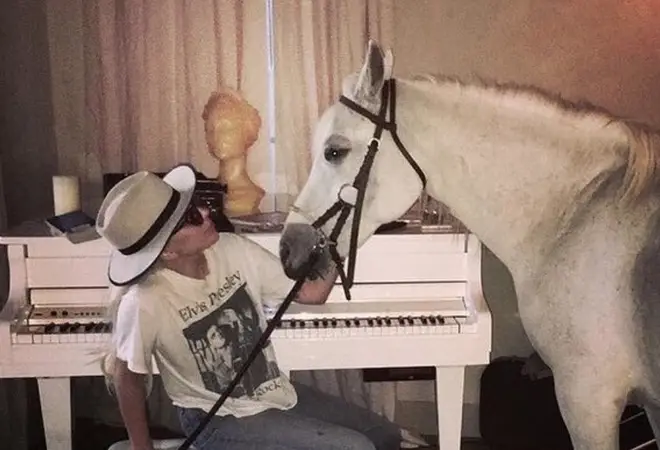 Lady Gaga has more than enough room for her beloved horses
