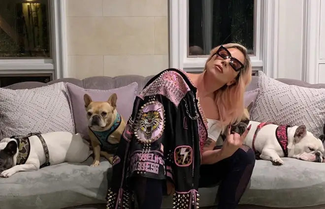 Lady Gaga's house is filled with her beloved pets
