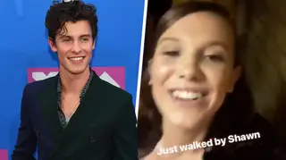 Millie Bobby Brown's Instagram Story About Shawn Mendes