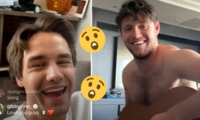 Niall and Liam shocked fans by going Live on Instagram.