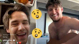 Niall and Liam shocked fans by going Live on Instagram.