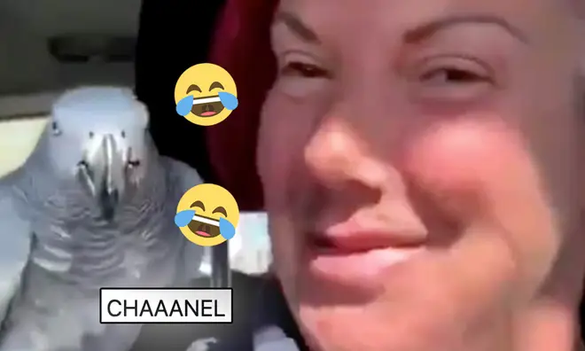 Chanel has become a viral icon.