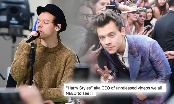 Harry Styles has a few music videos fans are yet to see