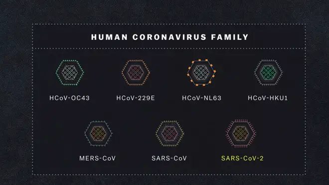 There are seven coronaviruses already known to infect humans