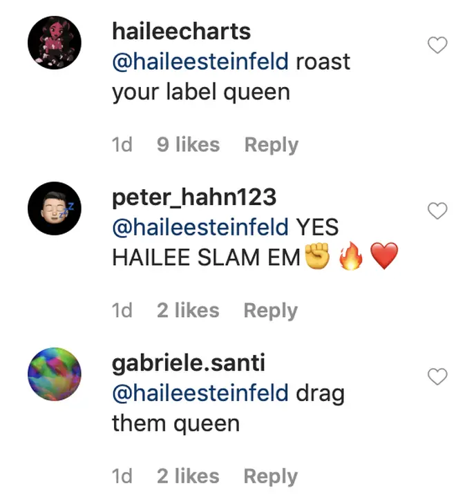 Hailee Steinfeld's fans supported the star for calling out her label