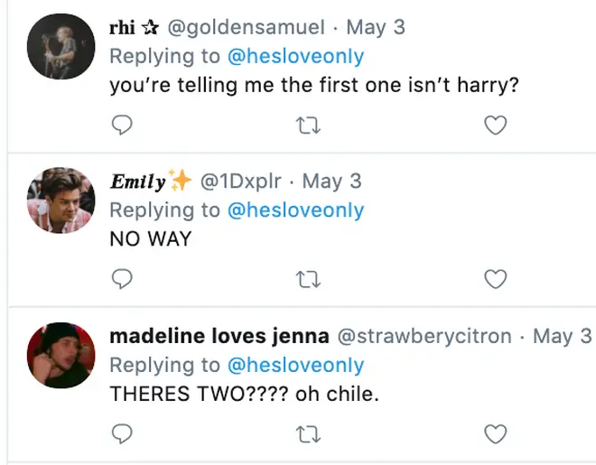 Fans in disbelief over Harry Styles lookalikes