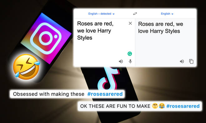 roses are red challenge how to make