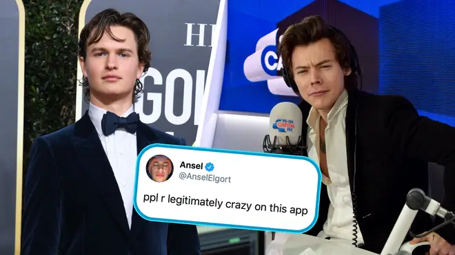 Ansel Elgort publicly dragged one Harry Styles fan on Twitter