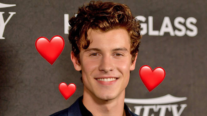 Shawn Mendes Reveals Why He's Single