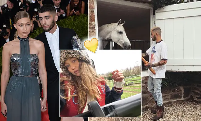 Zayn Malik has bought a farm nearby to Gigi Hadid's mum Yolanda