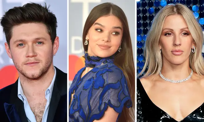 Niall Horan has dated some famous faces including Hailee Steinfeld and Ellie Goulding