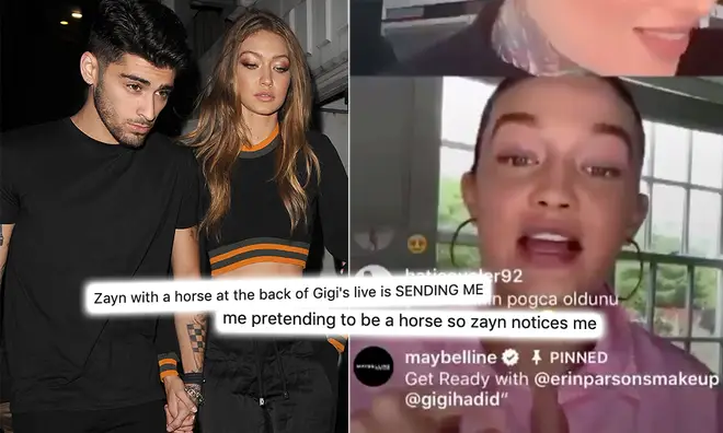 Zayn Malik's fans have speculated if he was walking a horse in Gigi Hadid's 'Get Ready' video