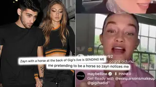 Zayn Malik's fans have speculated if he was walking a horse in Gigi Hadid's 'Get Ready' video