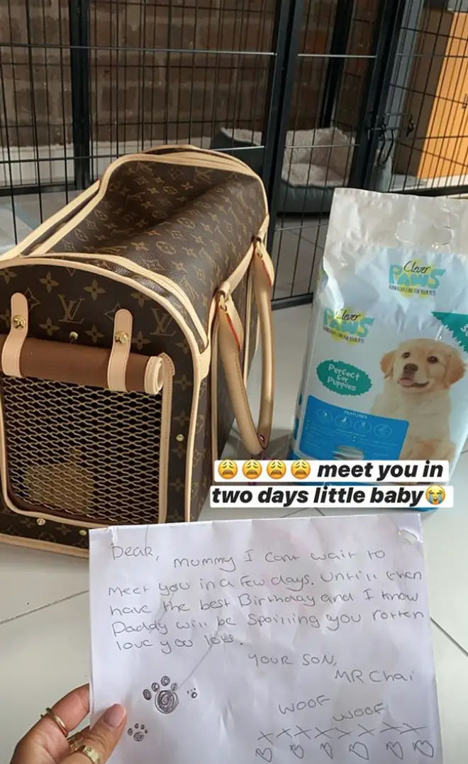 Molly-Mae and Tommy are getting a puppy