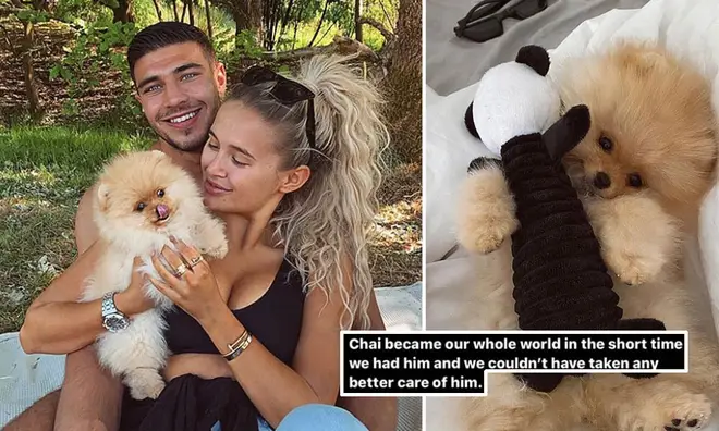 Molly-Mae Hague and Tommy Fury's puppy has sadly died