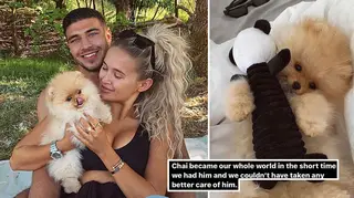 Molly-Mae Hague and Tommy Fury's puppy has sadly died