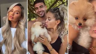 Molly-Mae Hague and Tommy Fury's dog Chai suddenly died